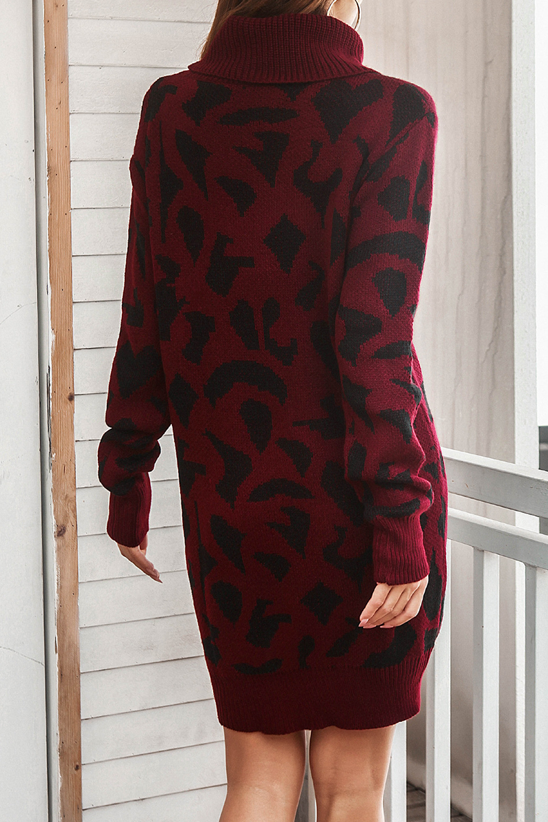 Print Contrast Turtleneck Dresses Sweater