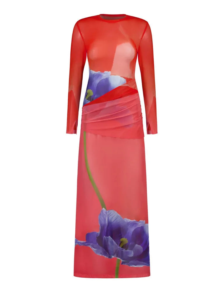 Long Sleeved Printed Mesh Patchwork Maxi Dress Autumn Winter New Vestidos Party Evening Dress