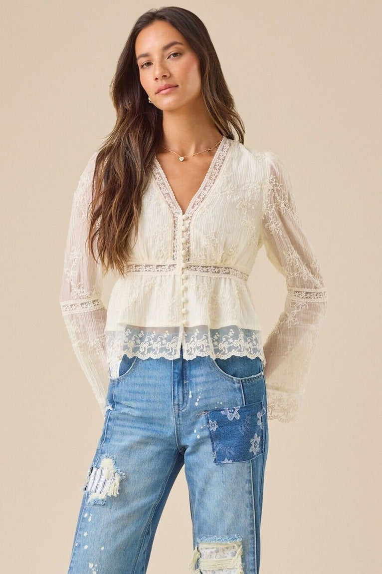 Lace Hollow Out Long Sleeve Blouse