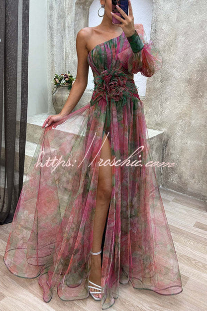 Picturesque Beauty Tulle Pleated One Shoulder Sleeve Slit Maxi Dress