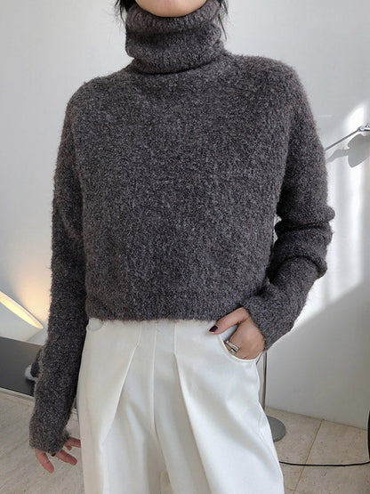 Brief Camel High-neck Long Sleeve Wool-blend Sweater An1064