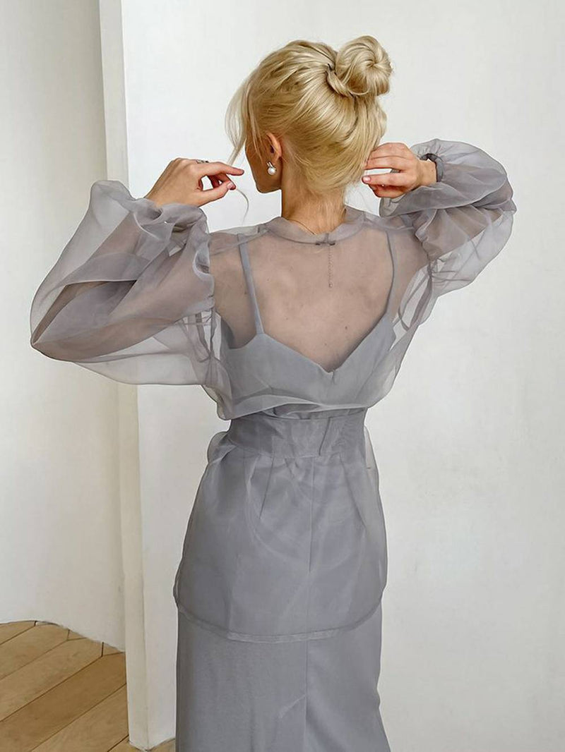 Sheer Top V Neck Long Puff Sleeves Bow Tie Blouse