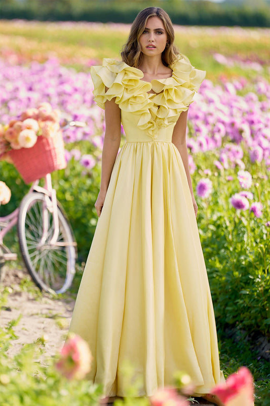Ruffle Neck Sleeveless Maxi Dress