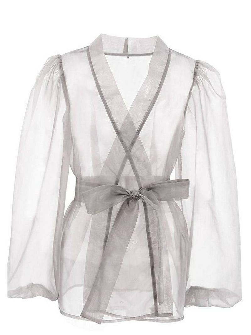 Sheer Top V Neck Long Puff Sleeves Bow Tie Blouse