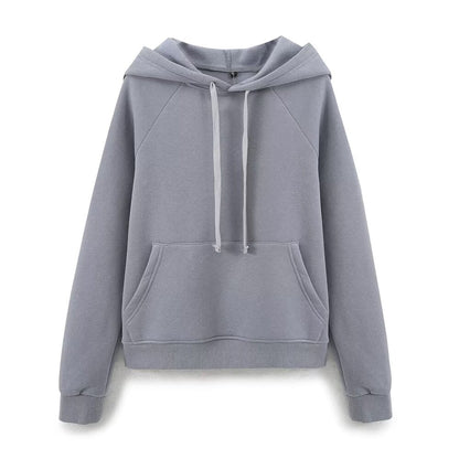 Fall Clothing Stylish Simple Hooded Washed Sweatshirt