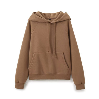 Fall Clothing Stylish Simple Hooded Washed Sweatshirt