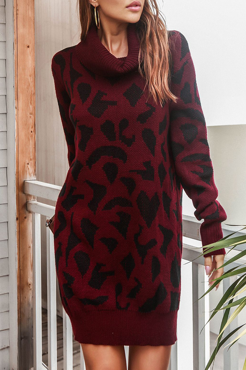 Print Contrast Turtleneck Dresses Sweater