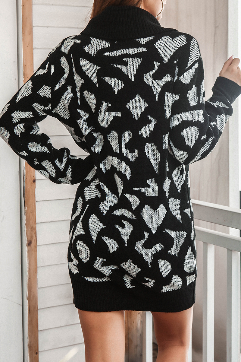 Print Contrast Turtleneck Dresses Sweater