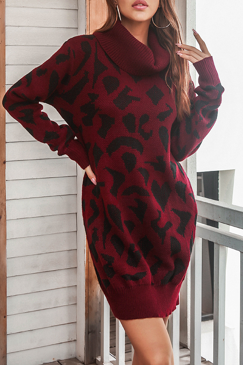Print Contrast Turtleneck Dresses Sweater