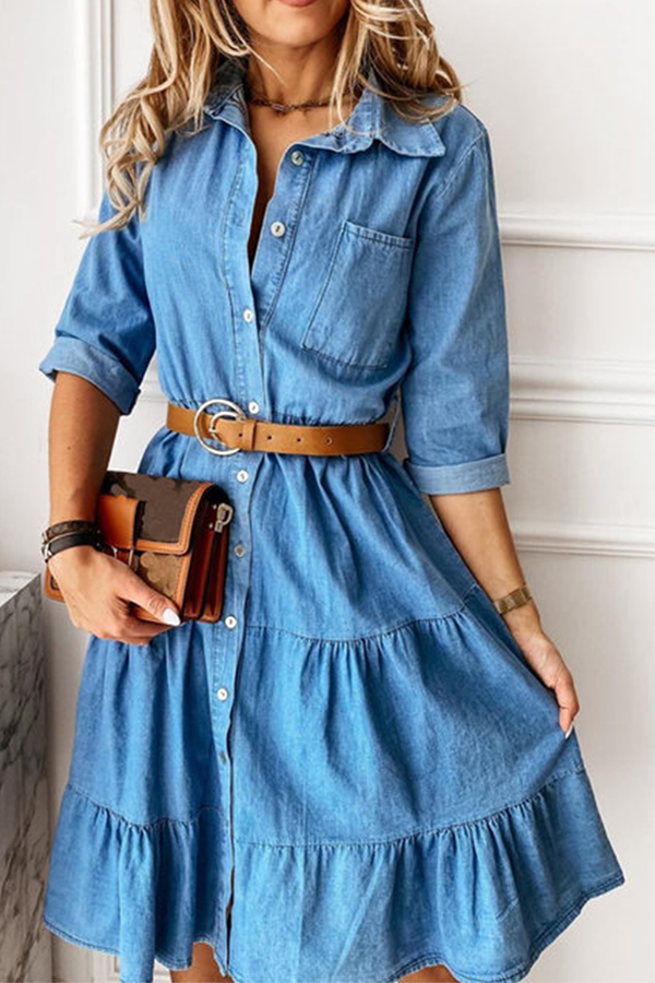 Buckle With Belt Turndown Collar Cake Skirt Dresses
