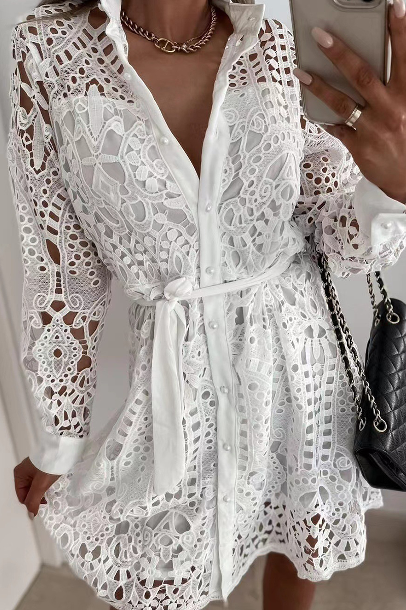 Lace Turndown Collar Waist Skirt Dresses(3 Colors)