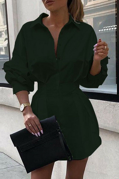 Turndown Collar Waist Skirt Dresses(3 Colors)