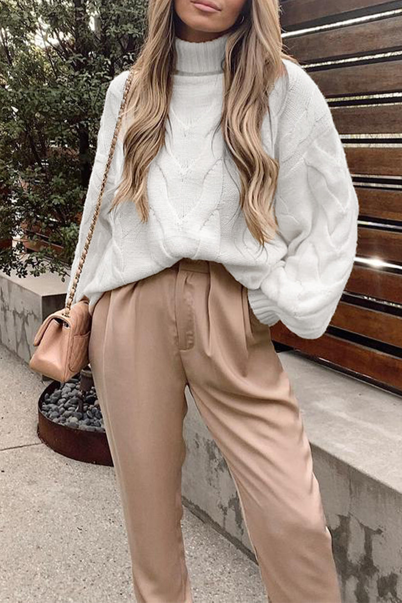 Street Color Turtleneck Sweaters(5 Colors)
