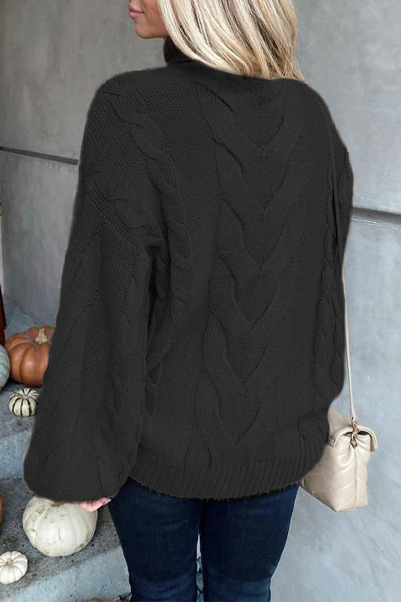 Street Color Turtleneck Sweaters(5 Colors)