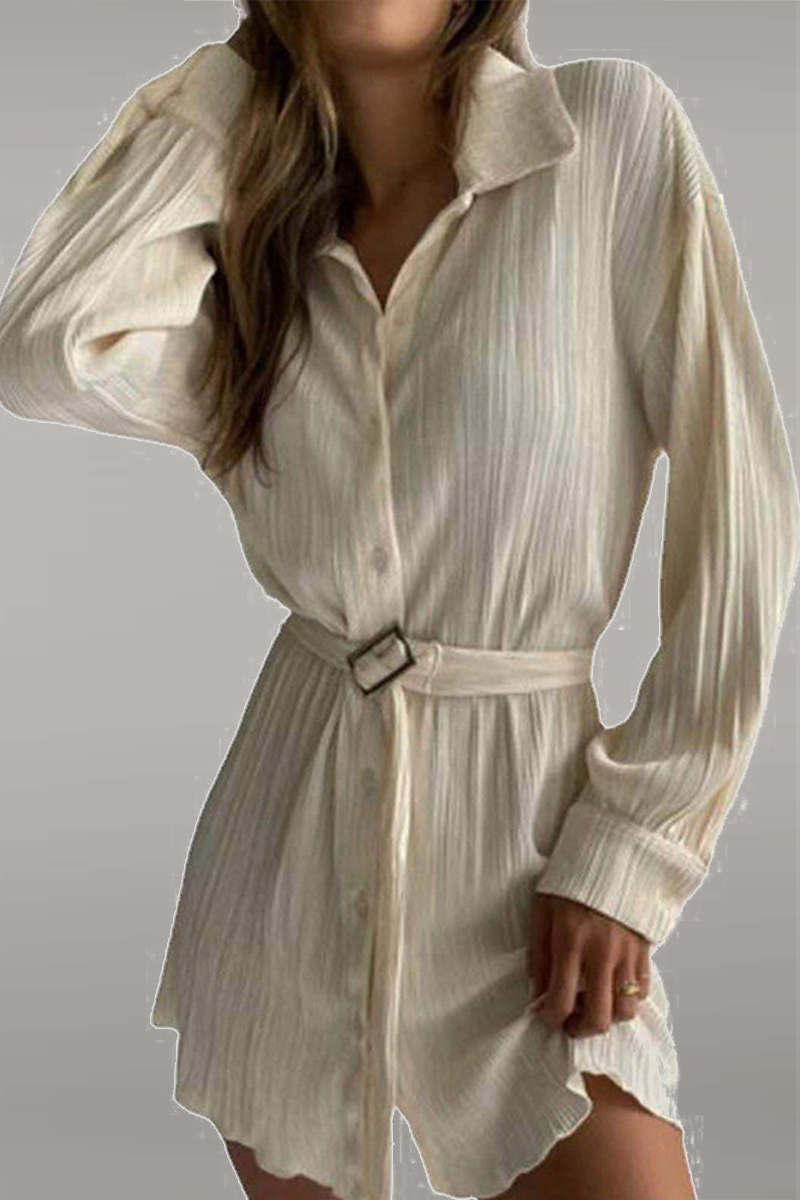 Street Loose Long Sleeve Shirt Style Deep-v Neck Mini Dress(5 Colors)