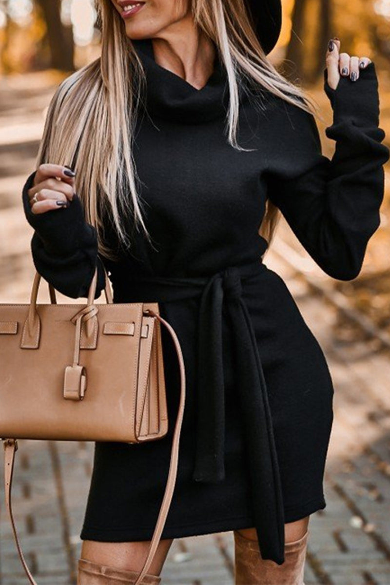 Frenulum Turtleneck One Step Skirt Dresses(4 Colors)