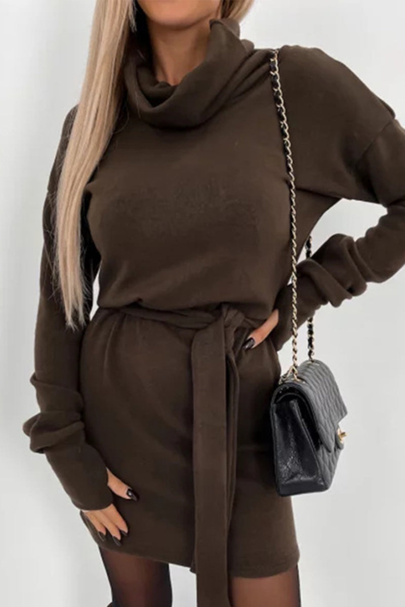 Frenulum Turtleneck One Step Skirt Dresses(4 Colors)