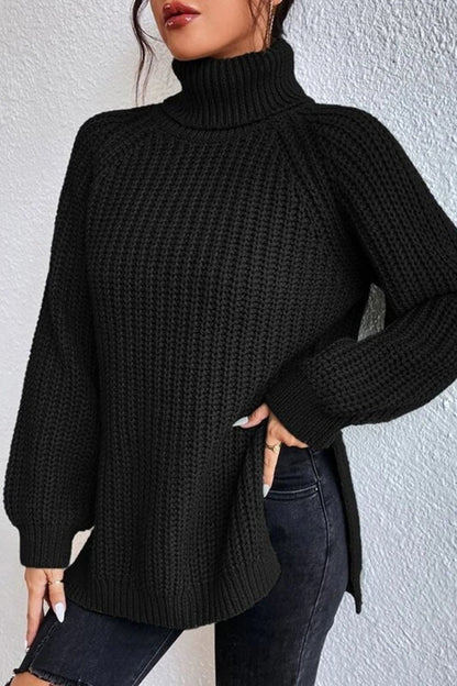 Basic Turtleneck Sweaters(5 Colors)