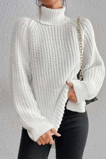 Basic Turtleneck Sweaters(5 Colors)