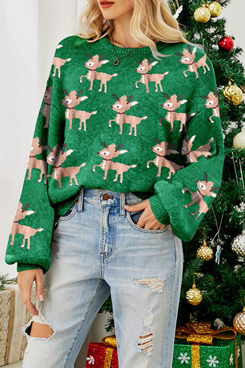 Wapiti Jacquard Contrast O Neck Sweaters