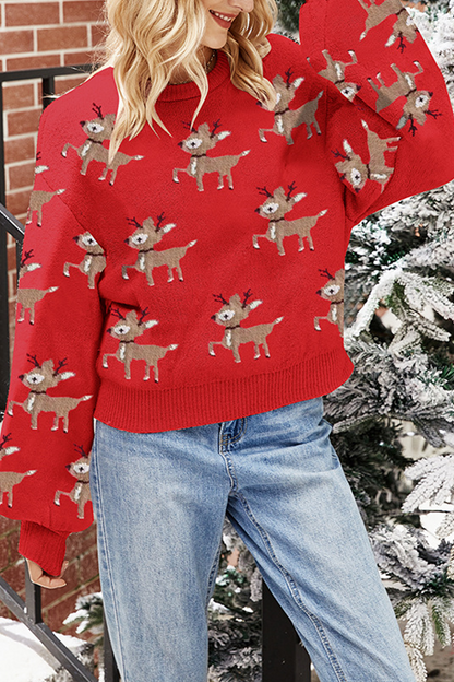 Wapiti Jacquard Contrast O Neck Sweaters