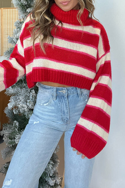 Stripe Weave Contrast Turtleneck Sweaters