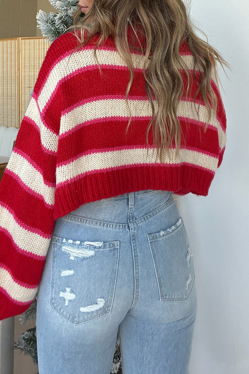 Stripe Weave Contrast Turtleneck Sweaters