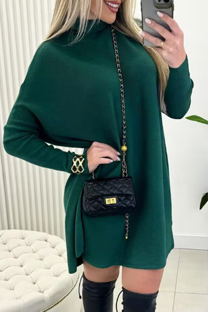 Daily Color Turtleneck Sweaters(3 Colors)