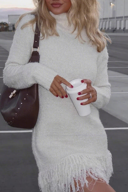 Turtleneck Tassel Knitted Sweater Dress