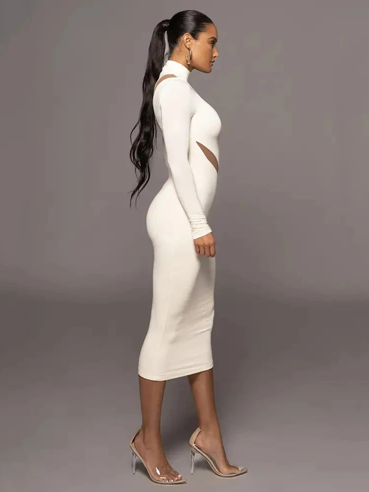 Autumn/winter Long Sleeve Mesh Patchwork Dress ’s Perspective Bodycon Midi Dress Female Party Evening Dress