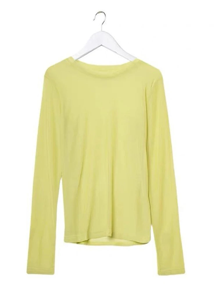 T Shirt See Through Transparent Mesh Tops Long Sleeve T-shirt Pink Green Top Basic Tops for