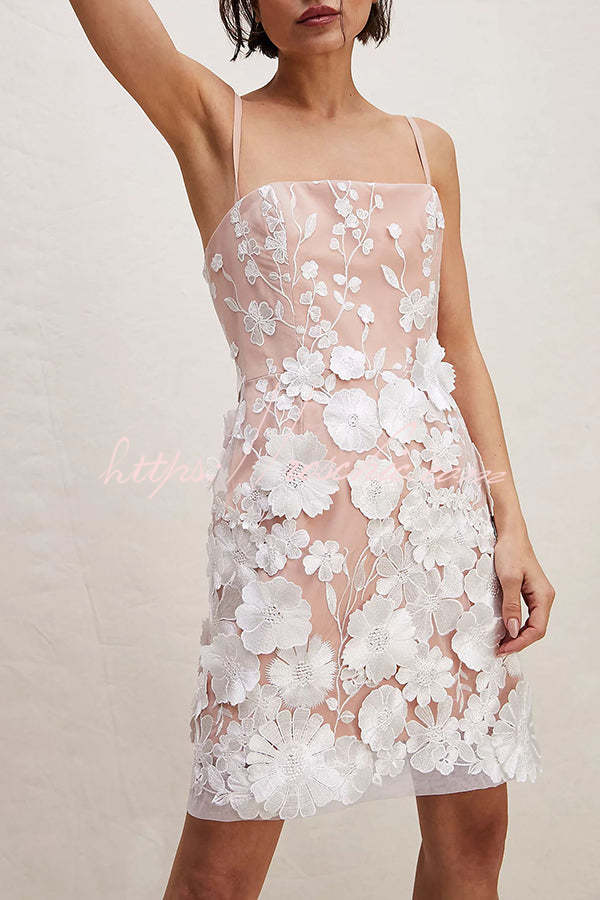Dream World Embroidered Applique Adjustable Straps Mini Dress