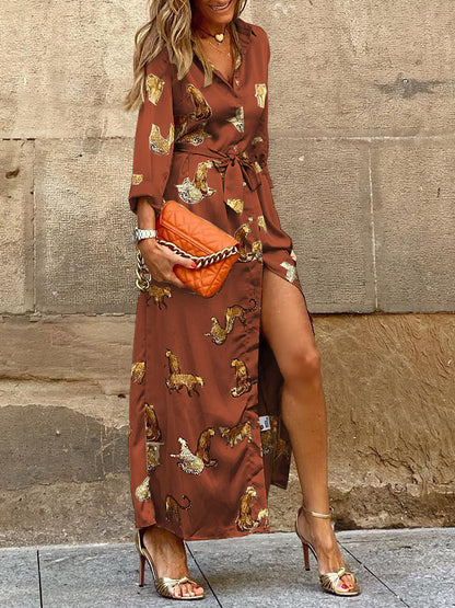 Leopard Printed V-neck Long-sleeve Swing Maxi Dress