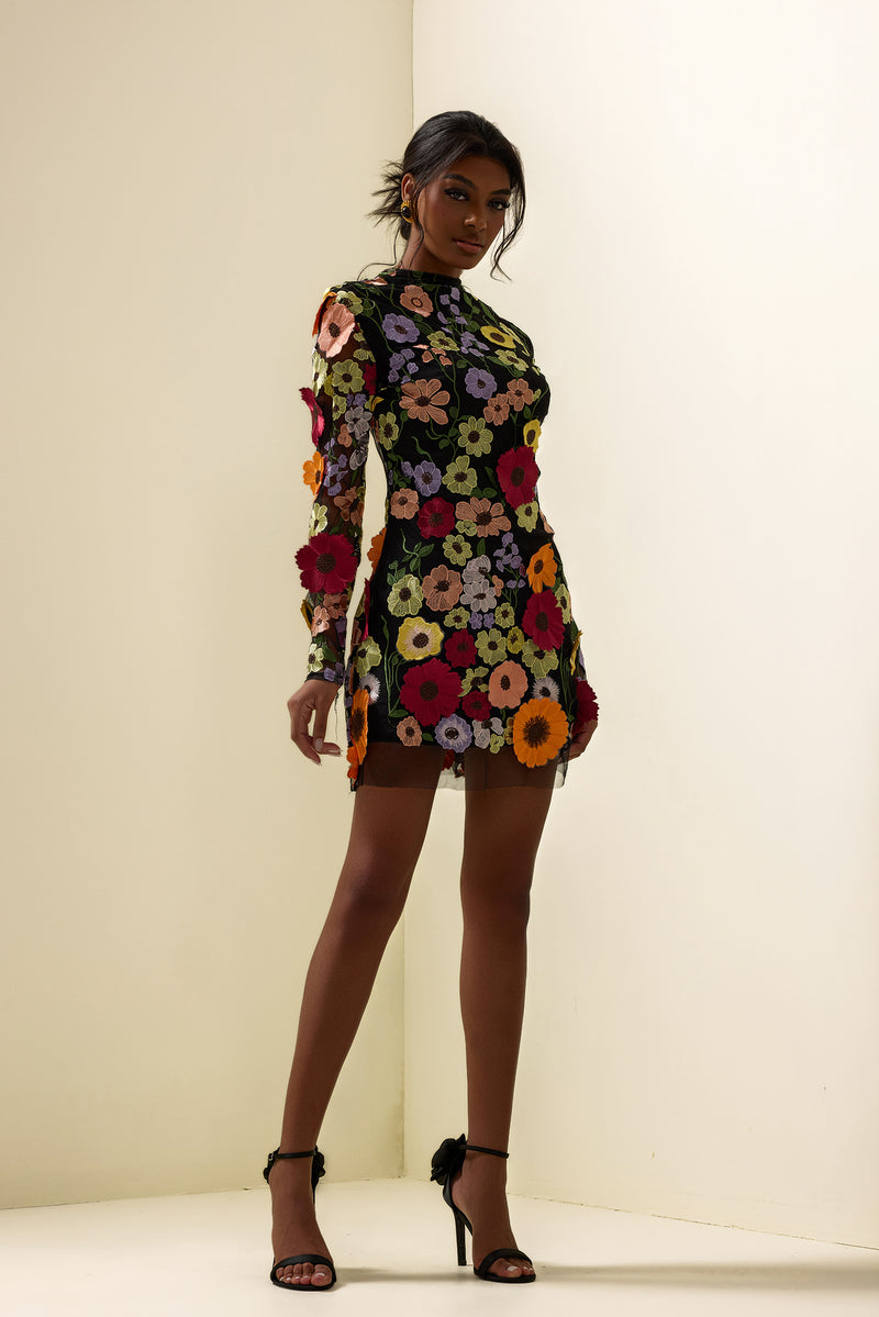 Embroidered Long Sleeve Mini Dress