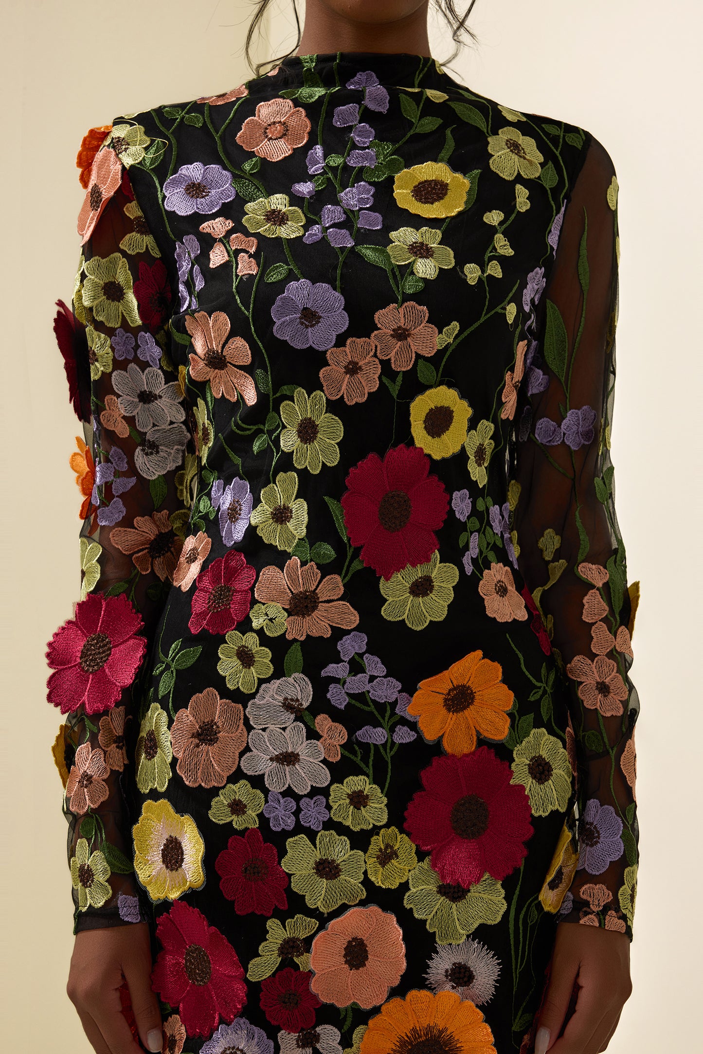 Embroidered Long Sleeve Mini Dress