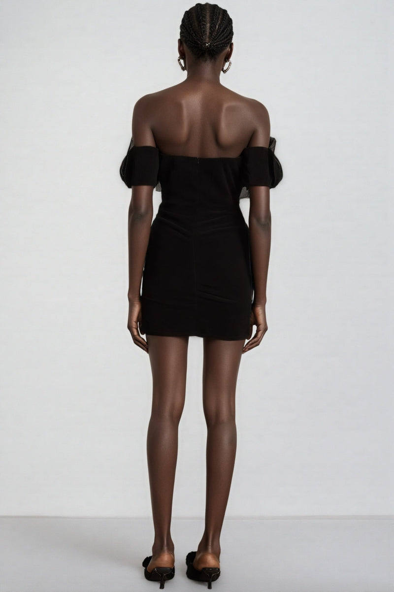 Cassia Black Embroidered Mini Dress