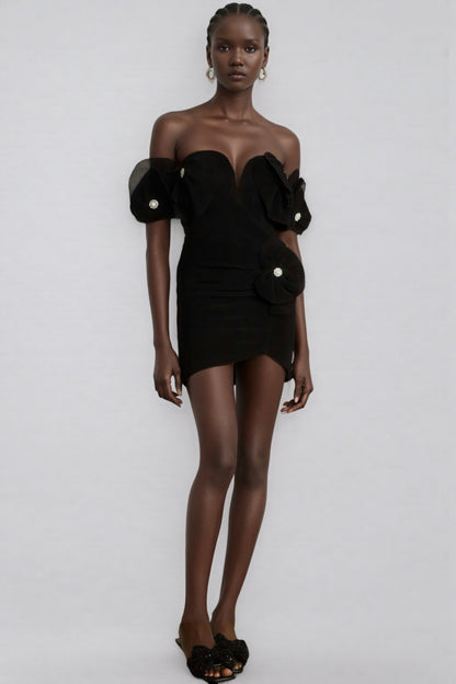 Cassia Black Embroidered Mini Dress