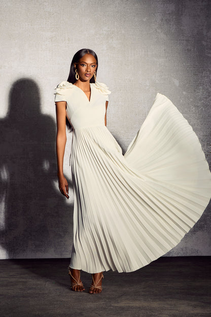 Grace V-neck Pleated Maxi Dress