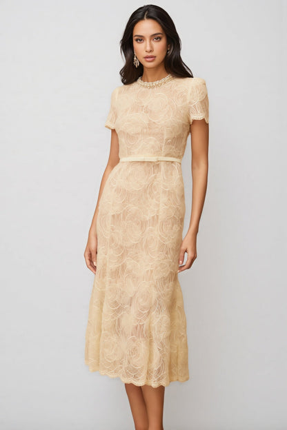 Aurore White Embellished Lace Midi Dress