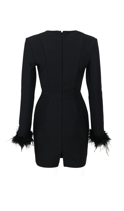 Stretch Long Sleeves Feather Mini Dress in Black