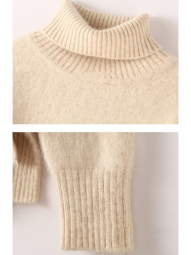 Autumn Turtleneck Soft Wool Sweater Ba1038