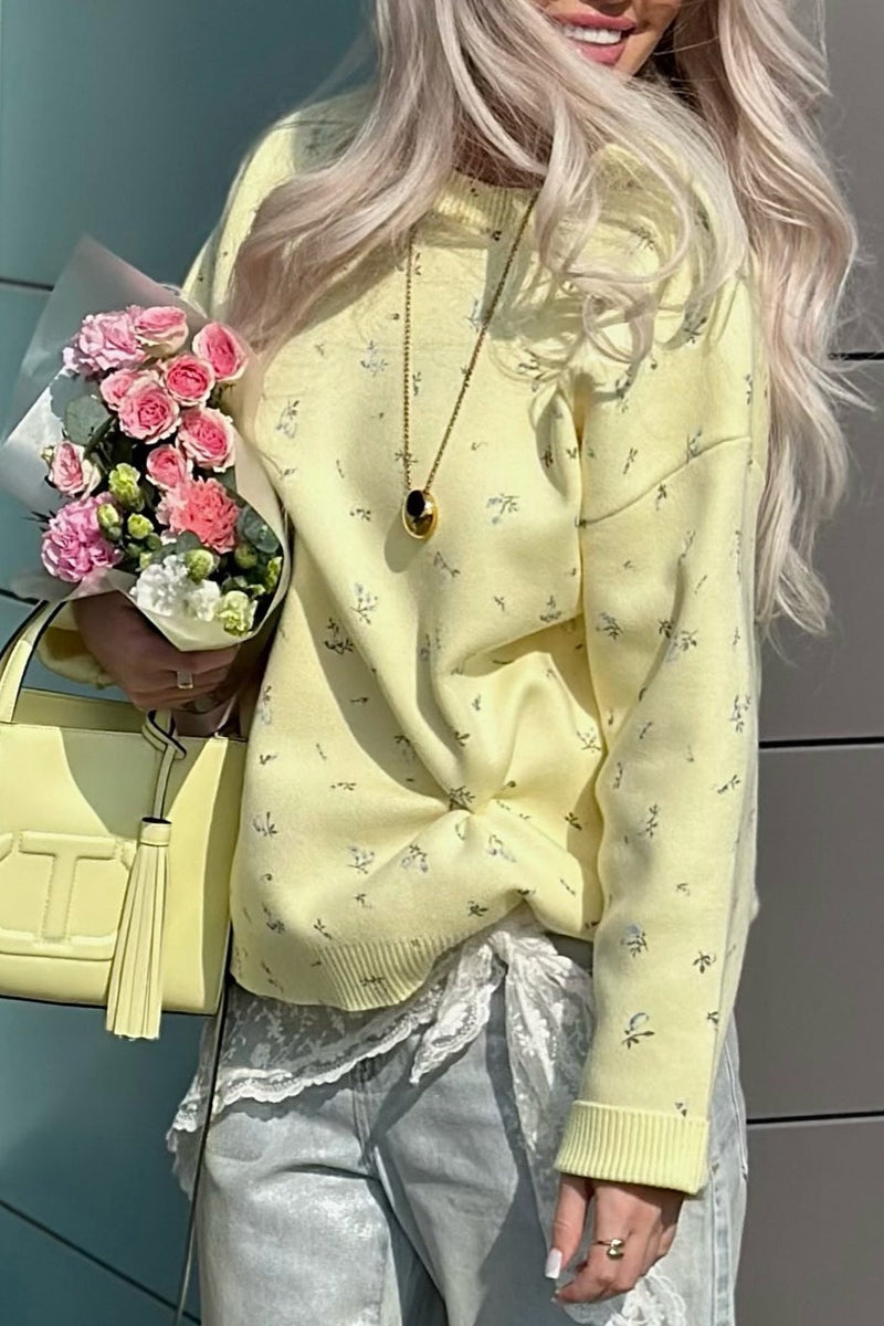Knit Loose Pullover Blouse