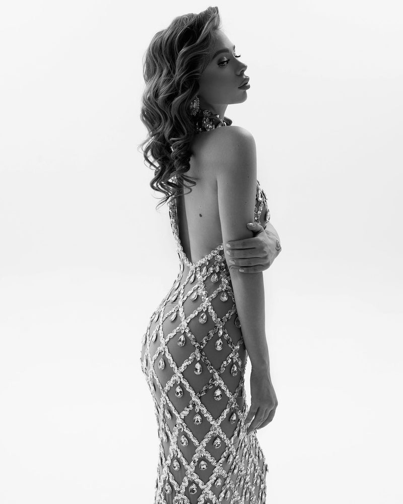 Crystal Veil Maxi Dress