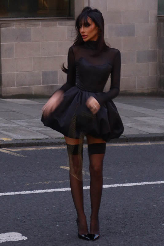 Winter Mesh Sheer Slim Fit Puff Mini Dress