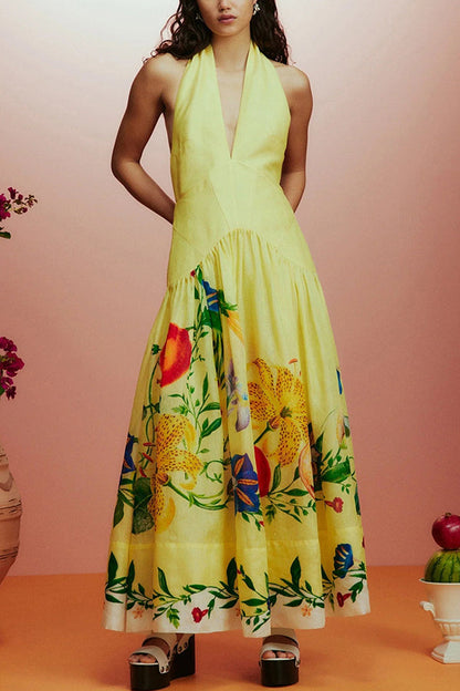 Print Halterneck Open Back Full Hem Maxi Dress