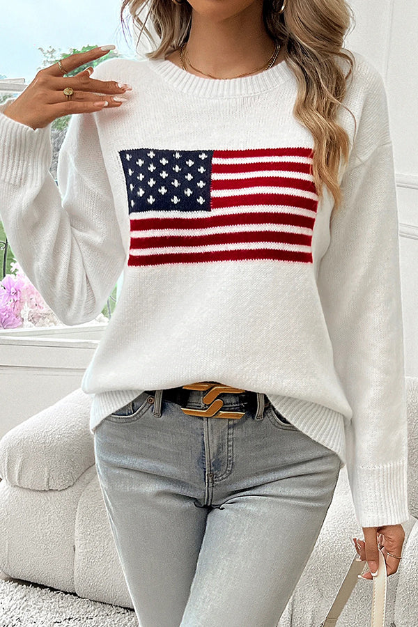 Flag Pattern Knitted Crewneck Long Sleeve Sweater