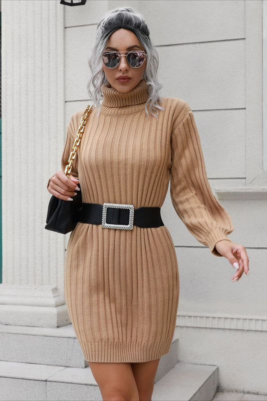 Short Ribbed Turtleneck Sweater Dress