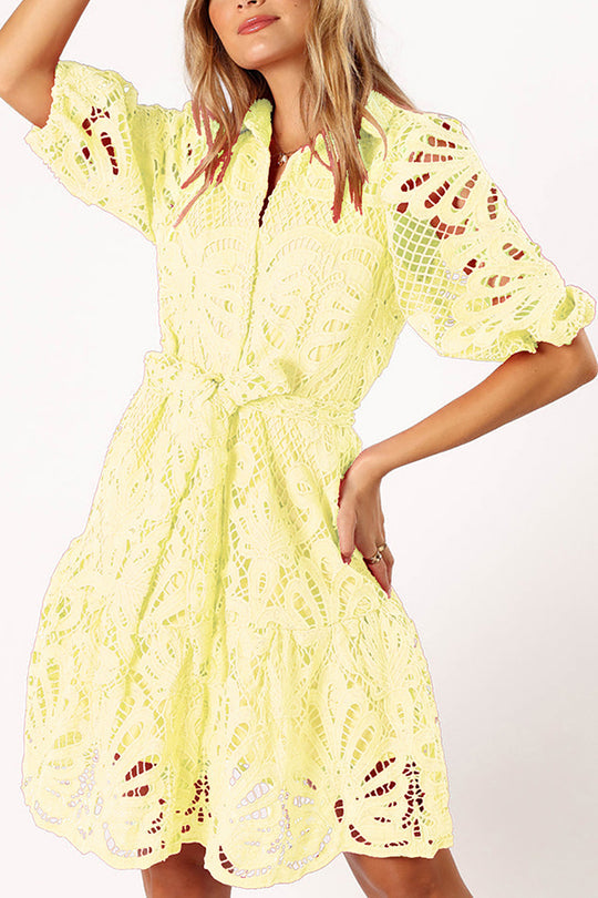 Color Lace Cutout Balloon Sleeves and Waist Tie Mini Dress