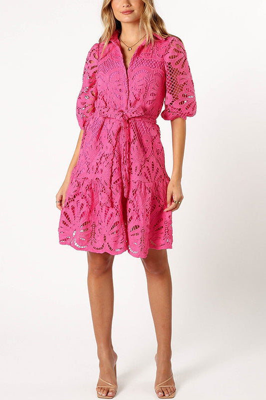 Color Lace Cutout Balloon Sleeves and Waist Tie Mini Dress