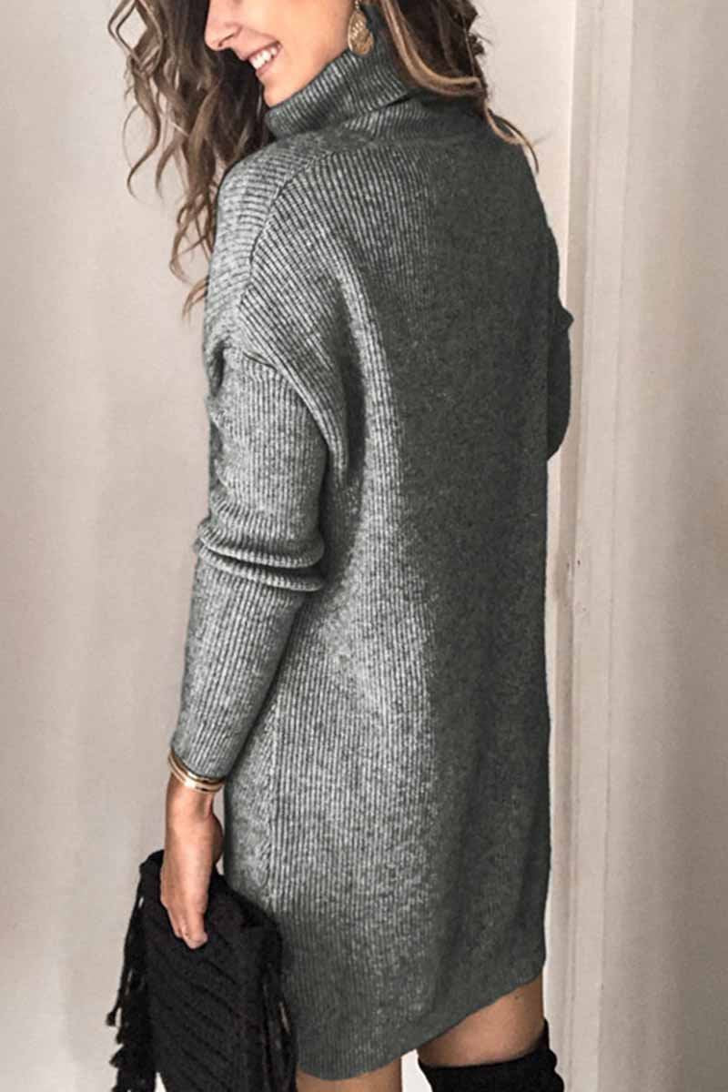Turtleneck Mini Dress(2 Colors)